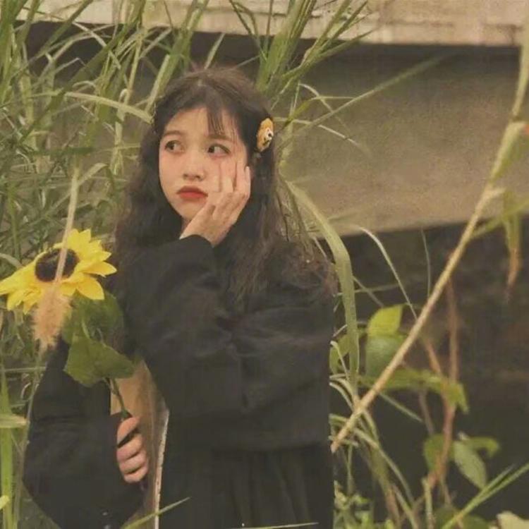 佐藤健（饰 绯村剑心） - 正在播放长尾关键词挖掘7 - 平板看剧